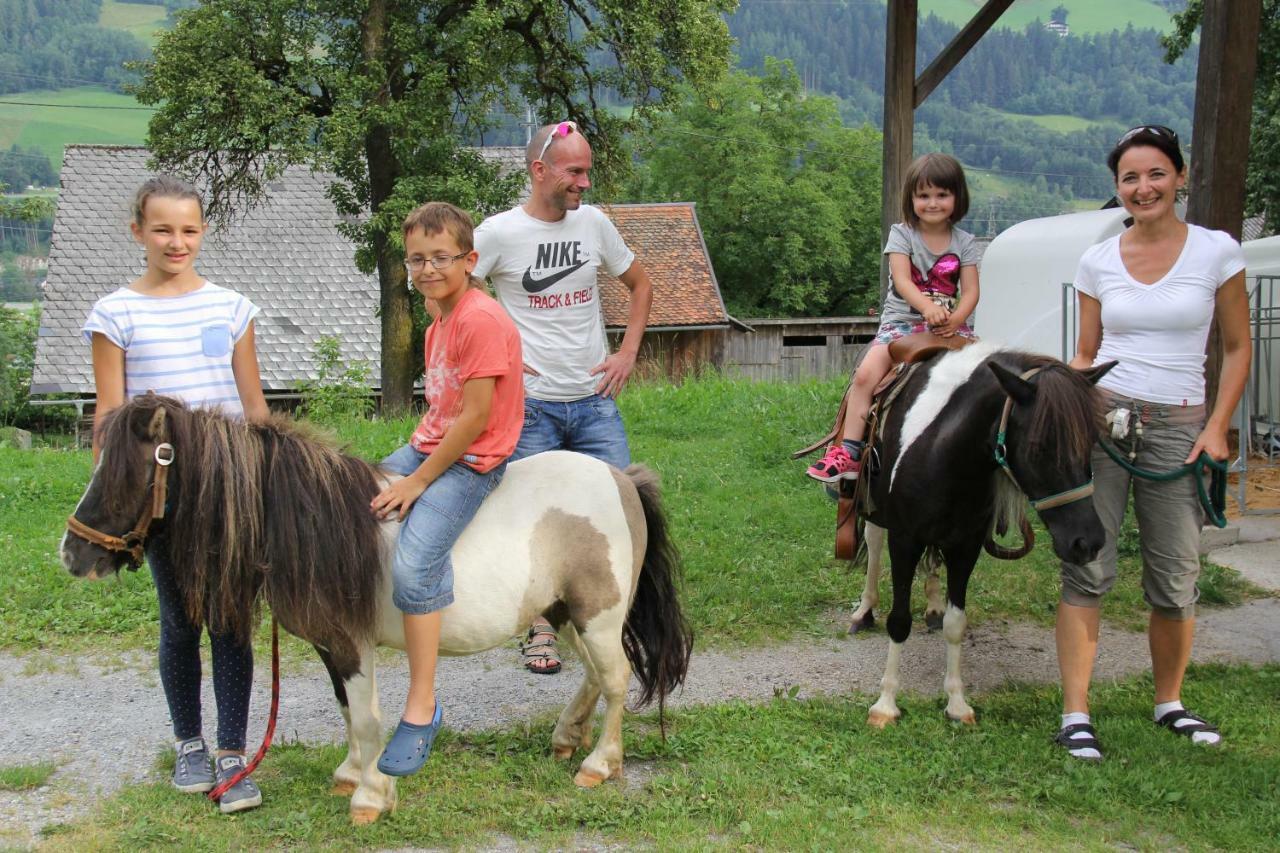 Feldlhof Villa Schladming Exteriör bild